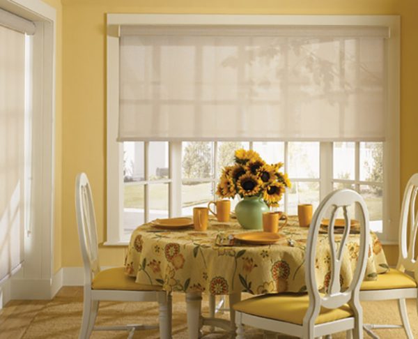 Roller Blinds - Colour Starr Blinds Philippines